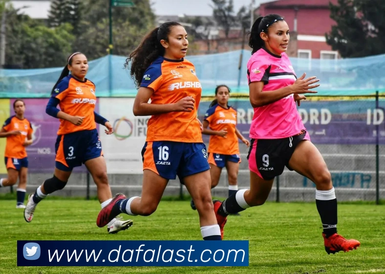 大发官网服务体系